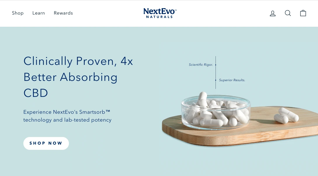 How We Used Topical Clusters To Boost A Startup’s Visibility in a Competitive Niche (Within 12 Months)